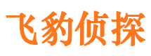 临清捉小三公司